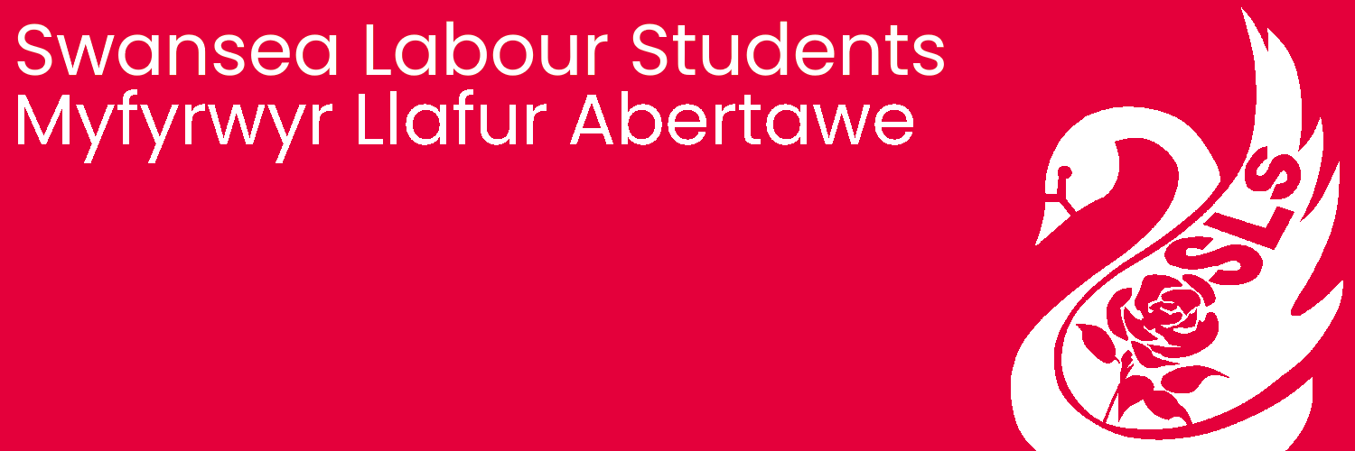 SwanLabStudents's profile banner image