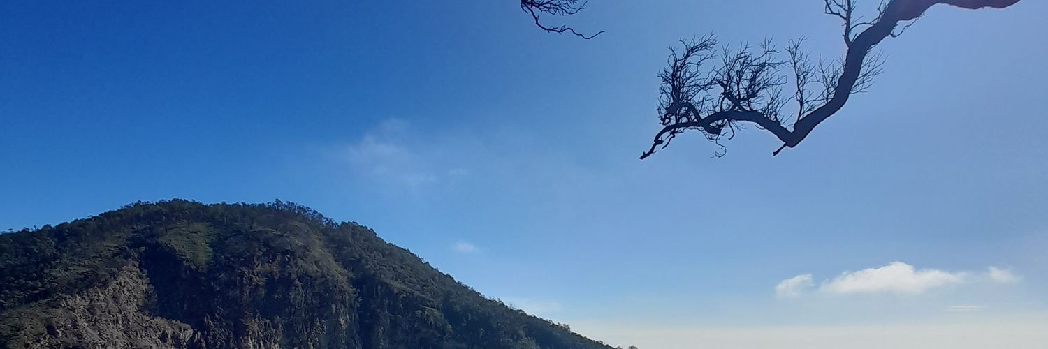 lindaaaasf's profile banner image