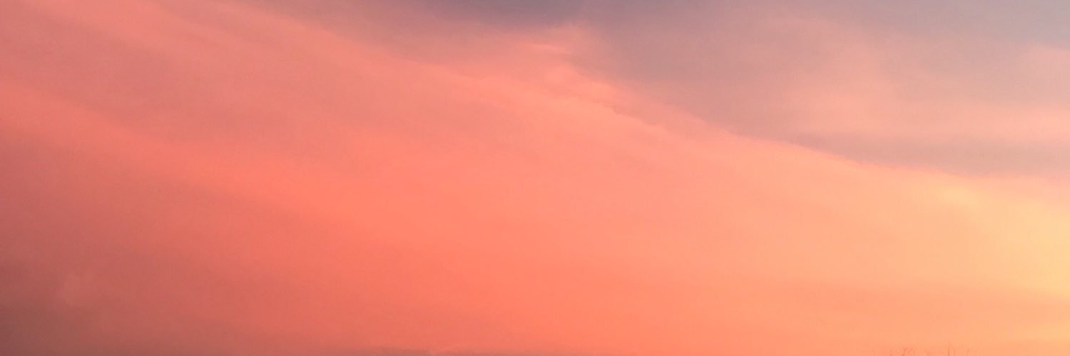 paallmm's profile banner image