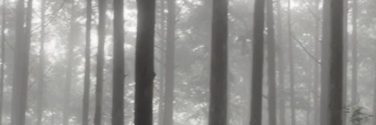 𝓗𝐎𝐏𝐏𝐄𝐑 ⋆｡⋆༶⋆˙⊹ banner