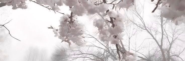 tu perrita banner