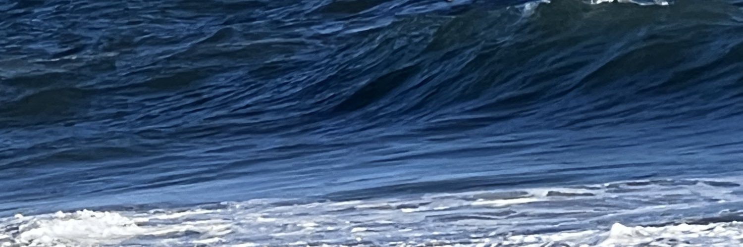 Jared O'Leary banner