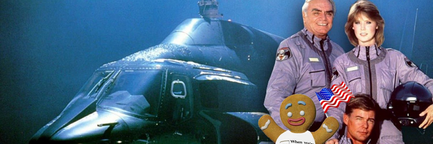 Gingerbread Florida Man banner