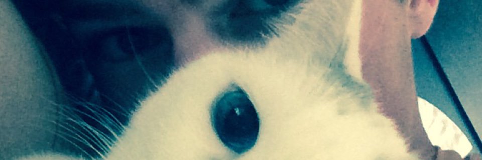 haydenphow's profile banner image