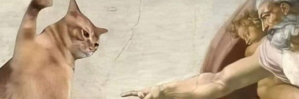 gutmor7's profile banner image