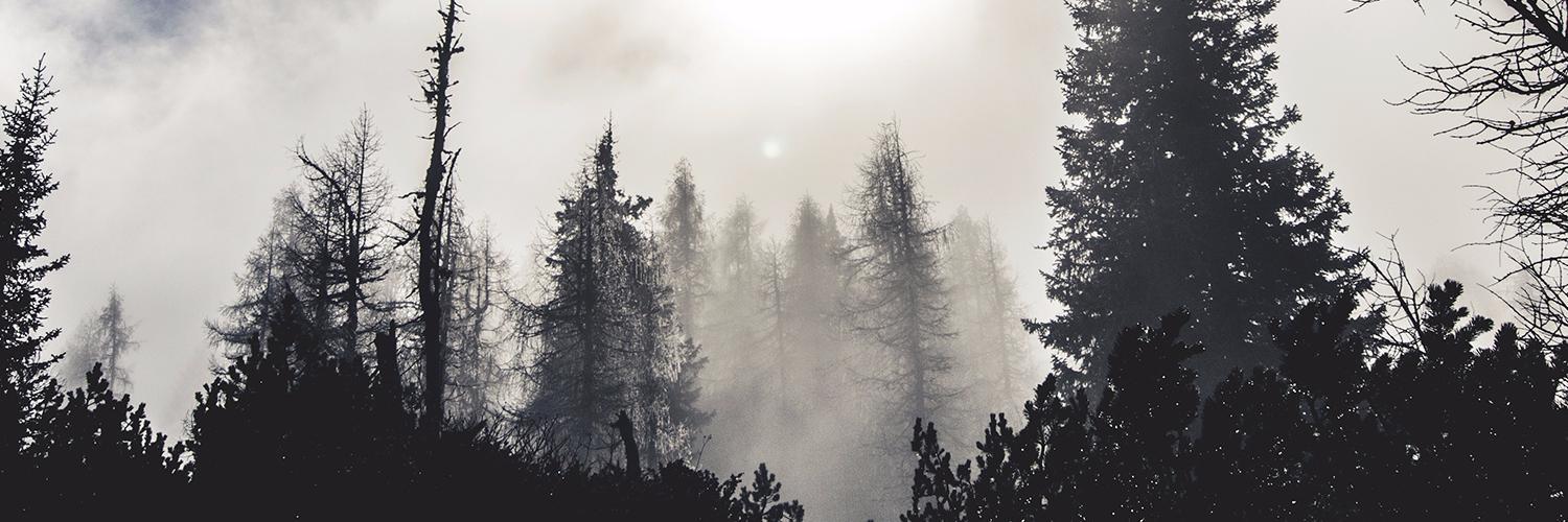 sarahhellems's profile banner image