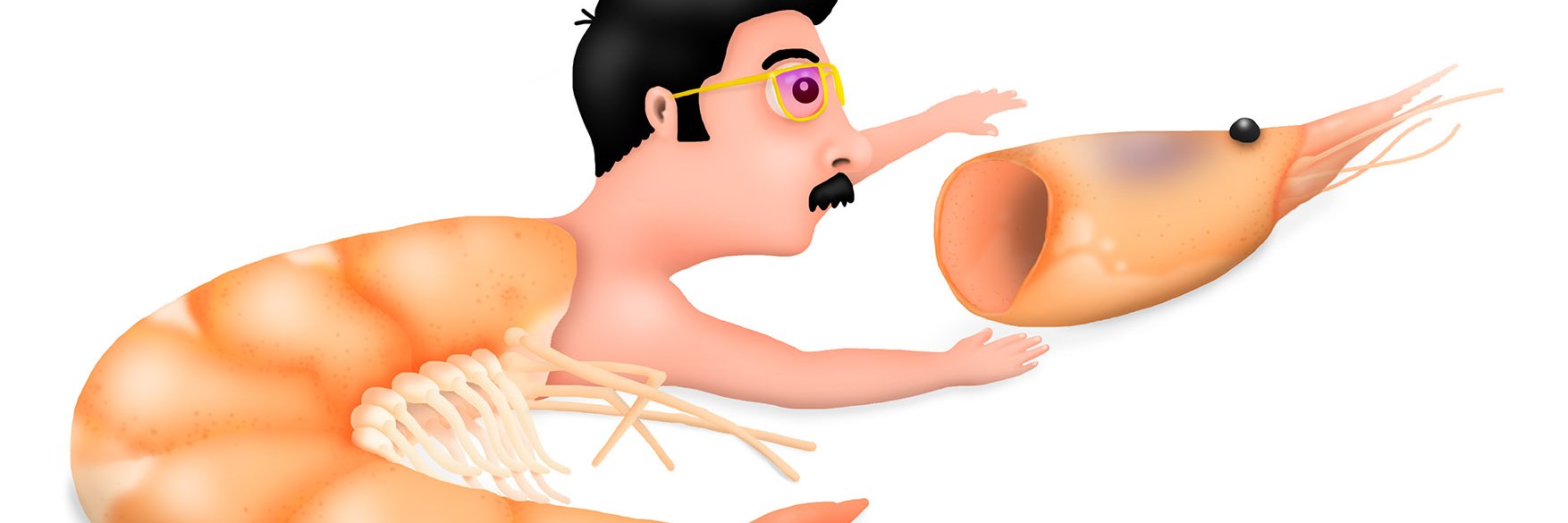 The Great Sebaldo banner