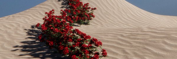 YEAROFJORDN Profile Banner