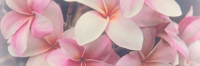 estherklomp's profile banner image