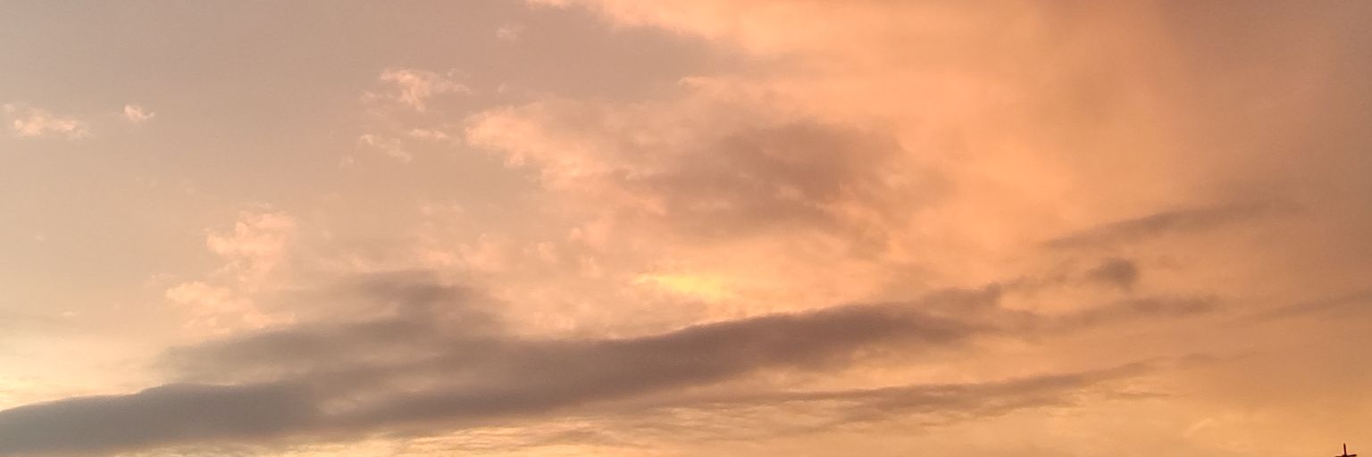 _ElenaF's profile banner image