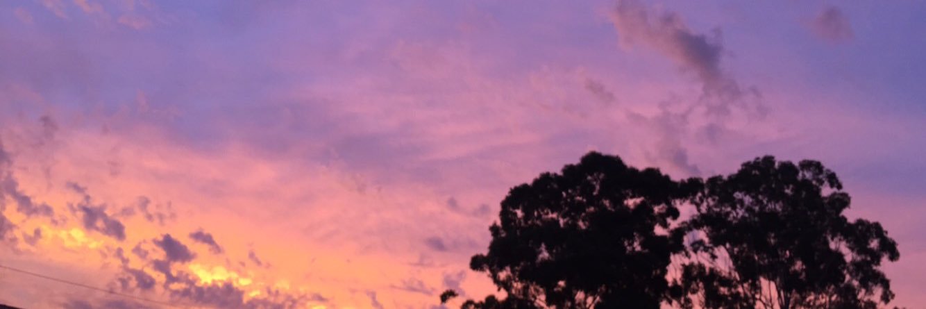 jacintascarfone's profile banner image