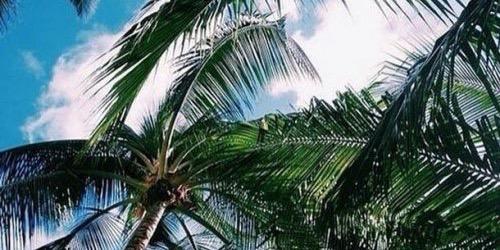 kastryulyaaa's profile banner image