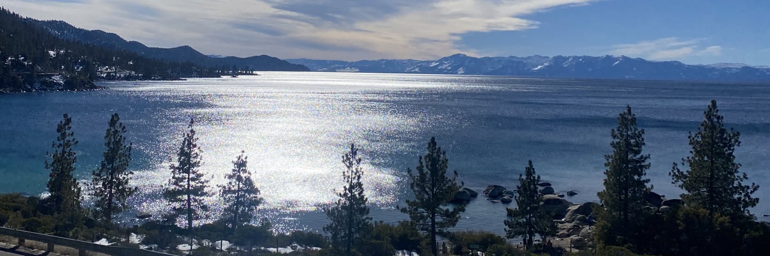 Shelley Matheny banner