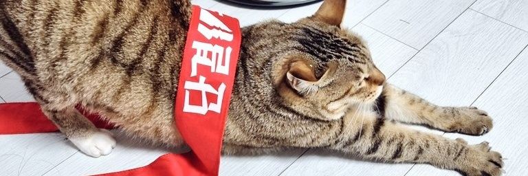 꾸짖을 喝!'s banner