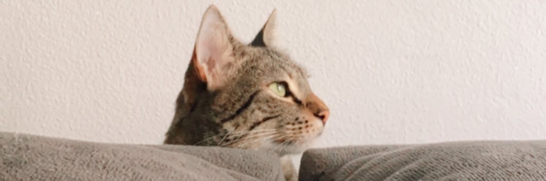 nannyqtal's profile banner image