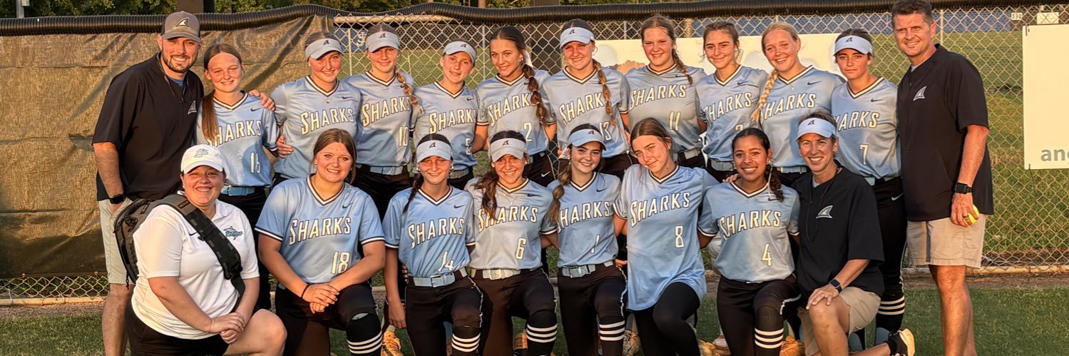 St James Softball 🥎 banner