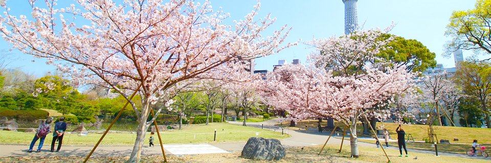 sumidapark1345's profile banner image
