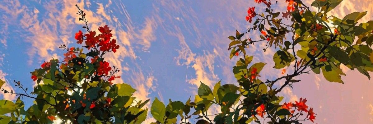 kelllliemarie's profile banner image