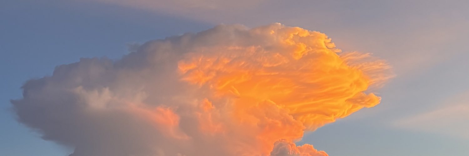 goro_mitsu04's profile banner image