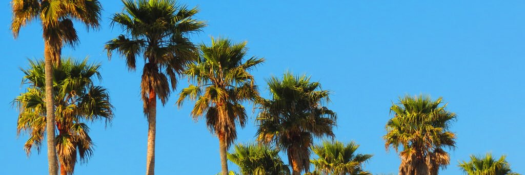 alllylong's profile banner image