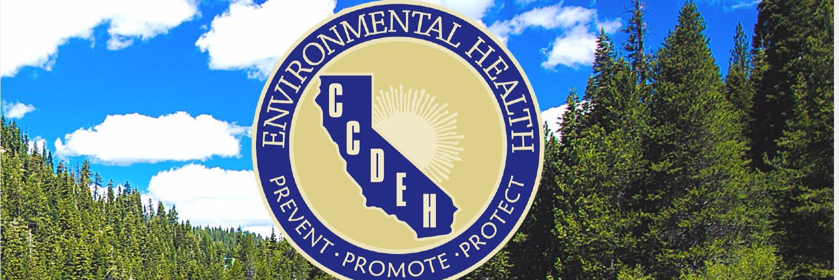 CCDEH1's profile banner image