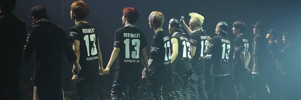 EmmaIsAPiglet's profile banner image