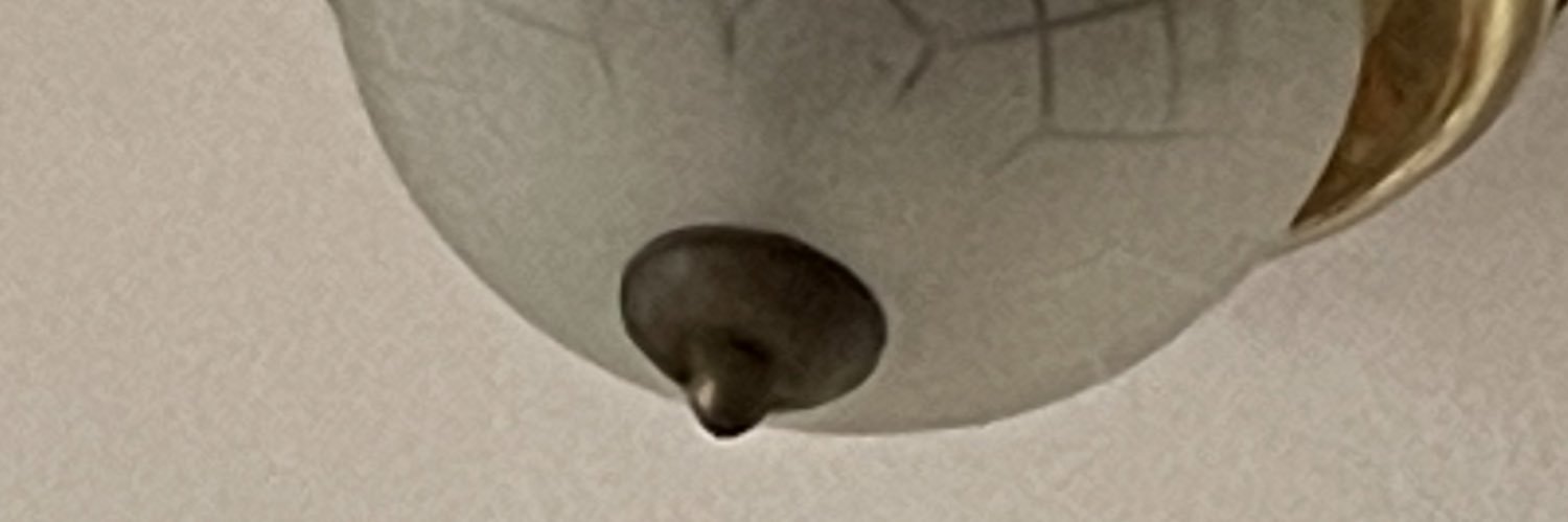 bregory's profile banner image