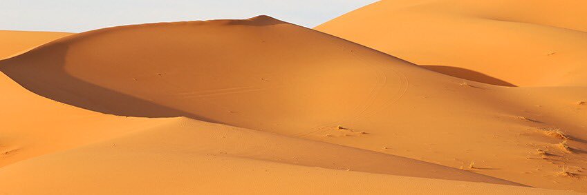 donjece's profile banner image
