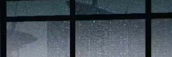 flinghucky Profile Banner