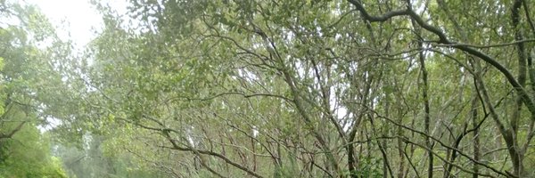 Verender_drm Profile Banner