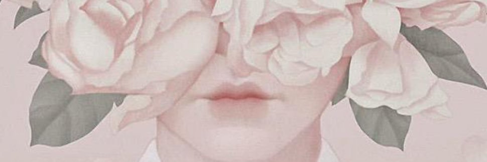 NoraAli423703's profile banner image