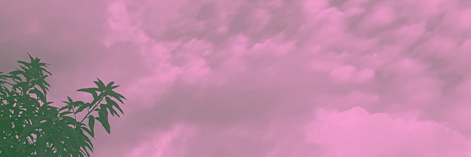vdyn420's profile banner image
