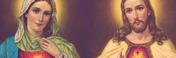 Sonia582's profile banner image
