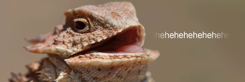 mareejamay's profile banner image