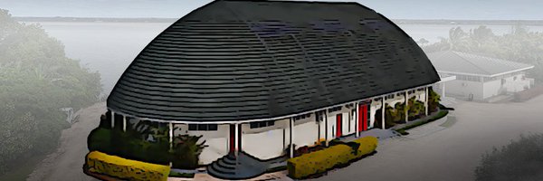 falealea_tonga Profile Banner
