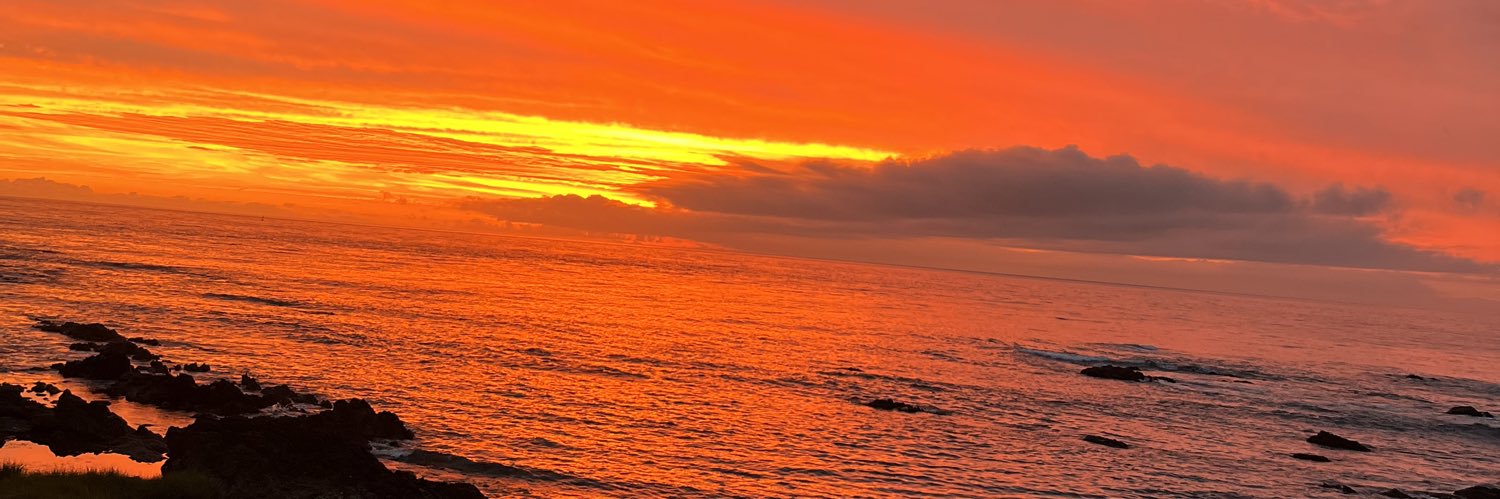 tatispi's profile banner image