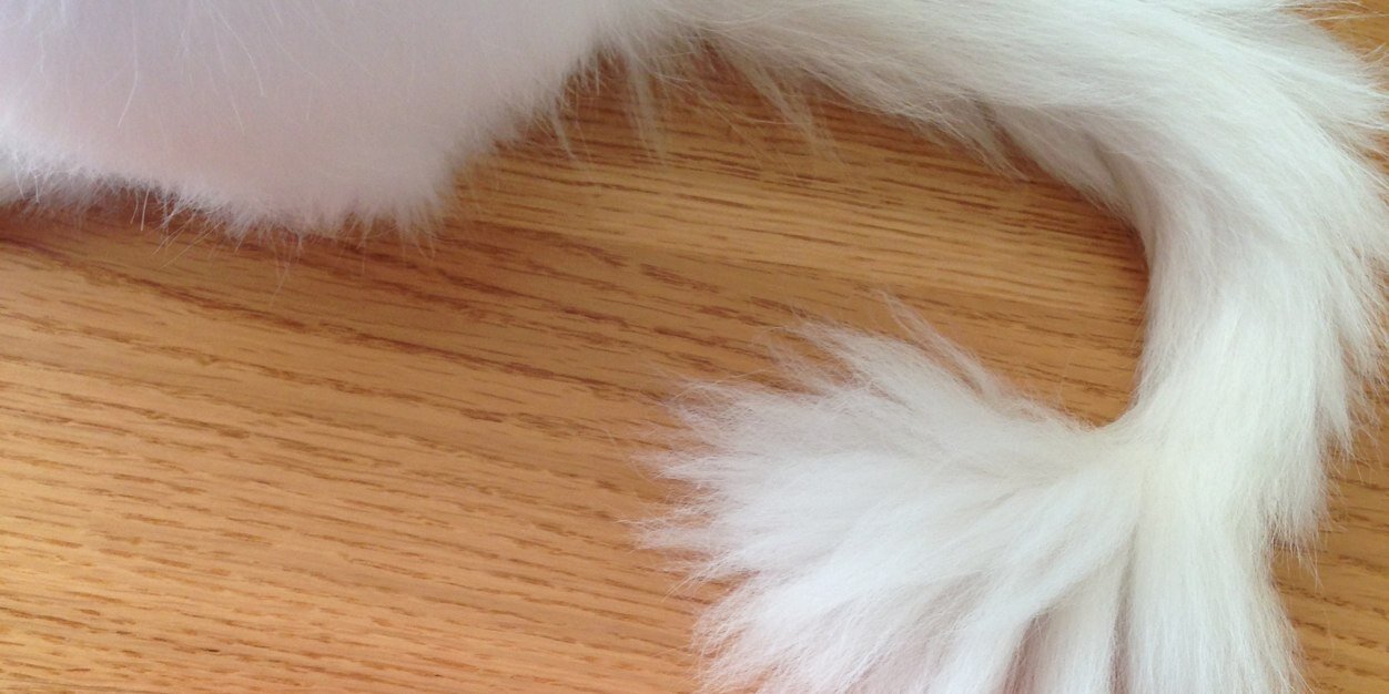 Luleli's profile banner image