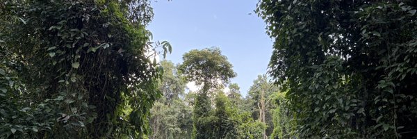 larsencc Profile Banner