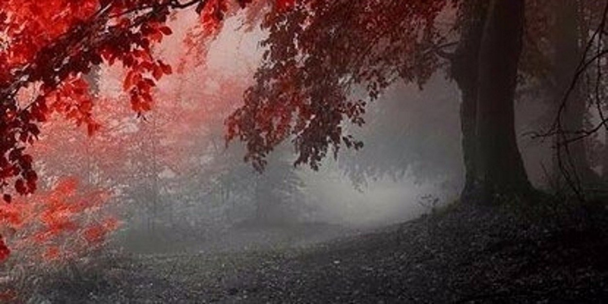 VaitovichDima's profile banner image
