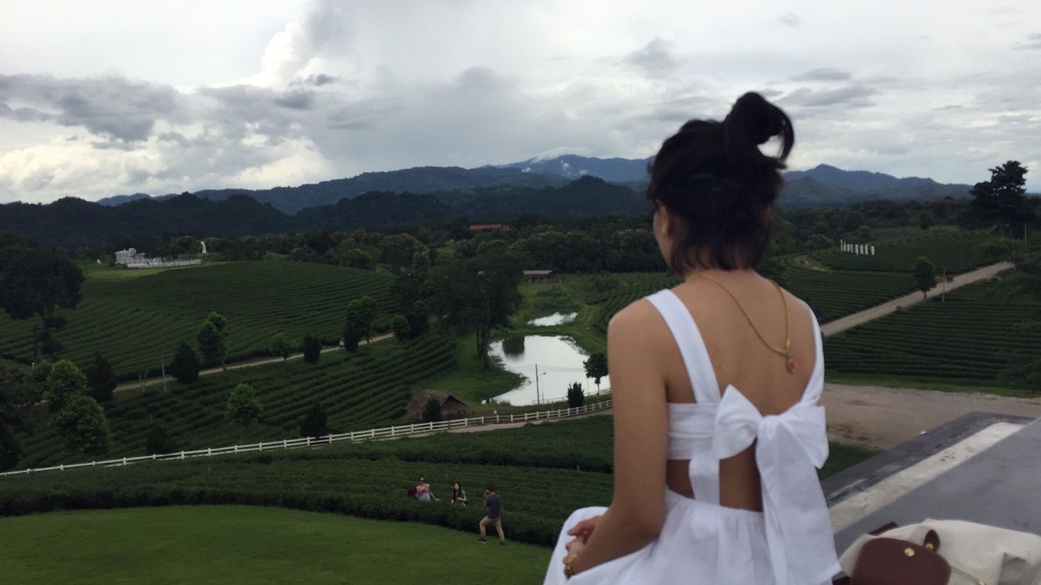 Monthitra💚 banner