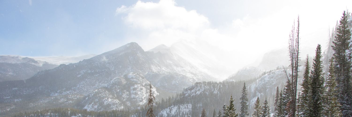 hansherd's profile banner image