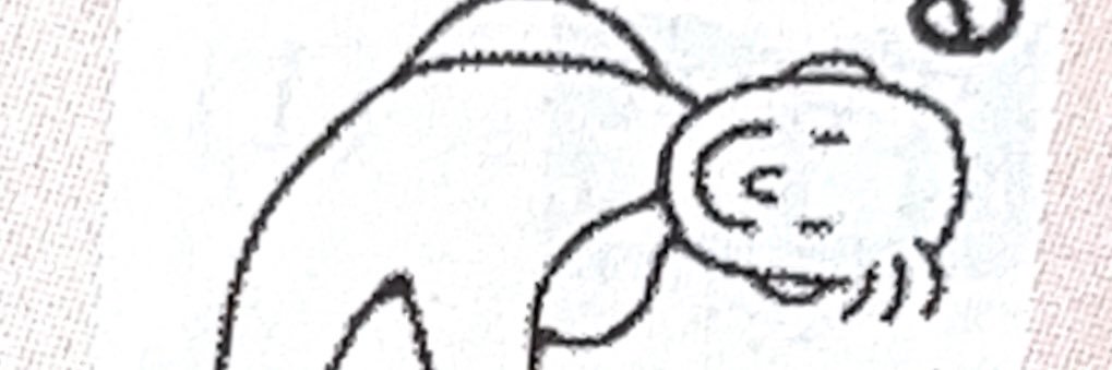 cptaisyosei's profile banner image
