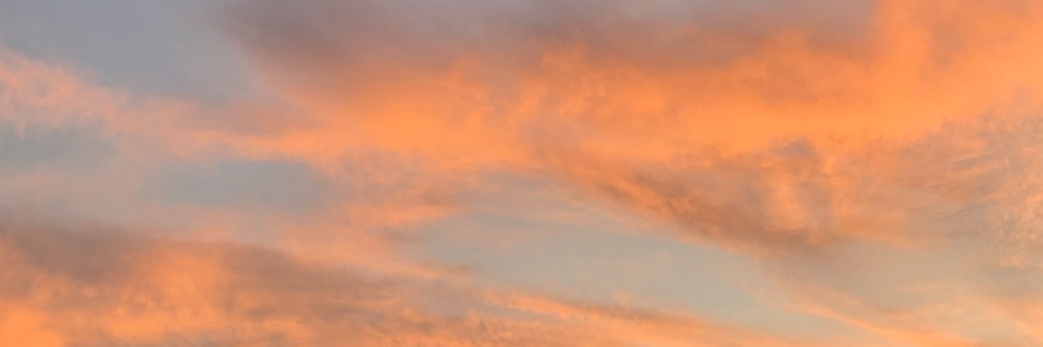 donohobrd's profile banner image