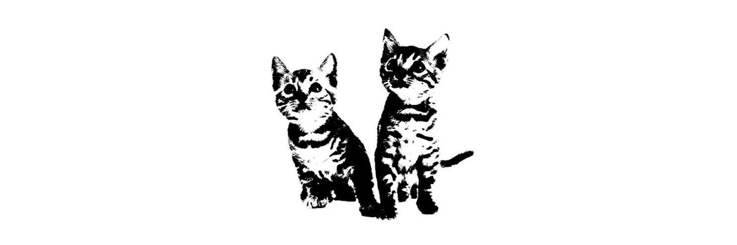 librarynikz's profile banner image