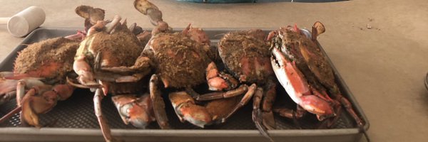 VinnieM84556 Profile Banner