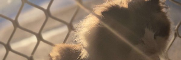 Rdaug31 Profile Banner