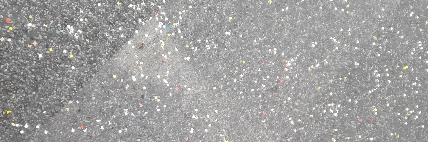 Alexandra Latham banner