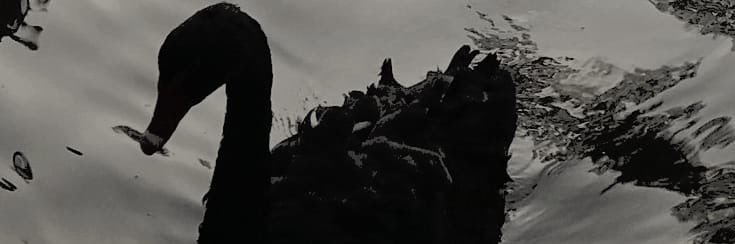 FayeWolff_'s profile banner image