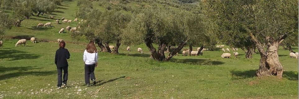 AgroReg banner