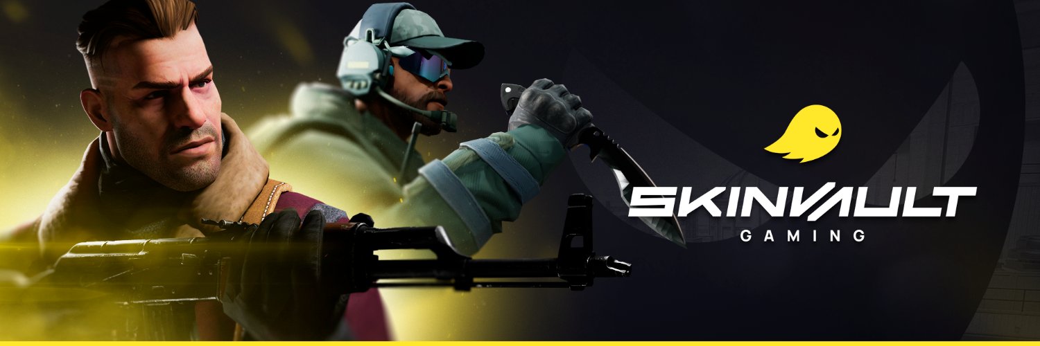 Skinvault Gaming banner